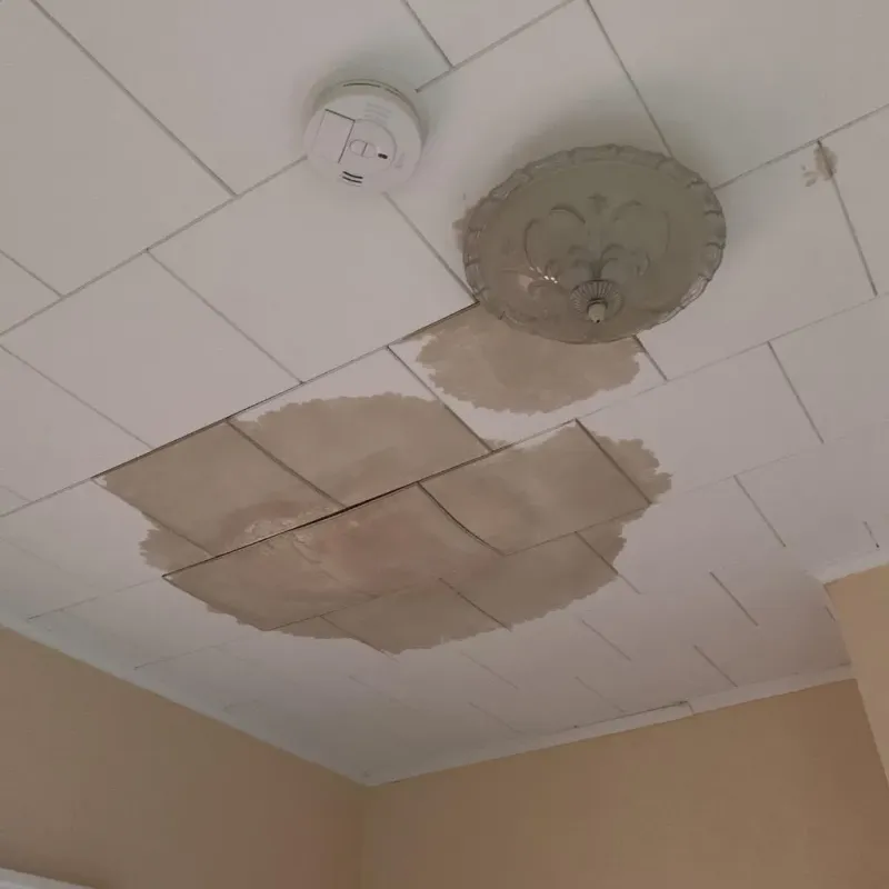 Ceiling Water Damage Repair in Sutherland, NE